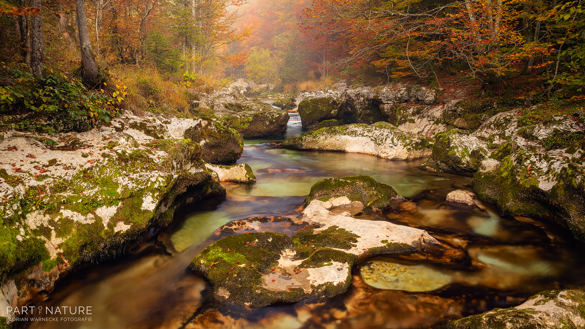 MOSTNICA IM HERBST Part of Nature Florian Warnecke Fotografie